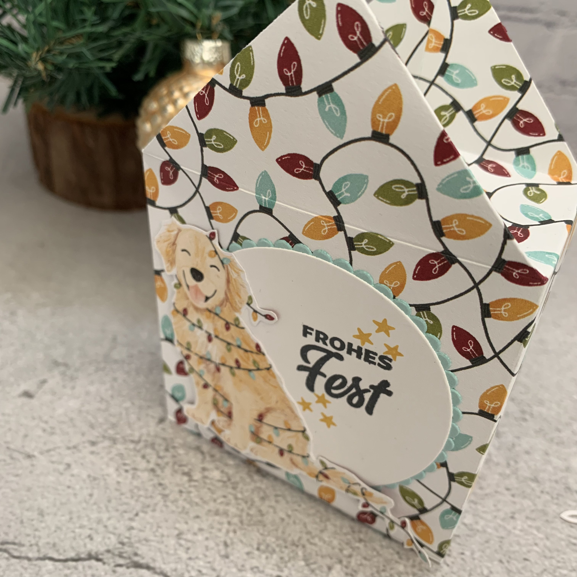 WiS - Hauschchen 2.jpeg